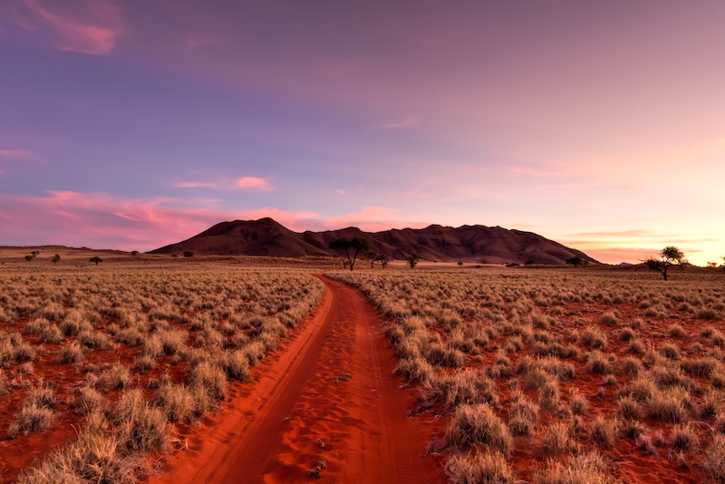 Namibia – stillhet, ökenlandskap och ett av världens mest unika resmål