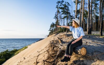 Höga Kusten: Sveriges hemliga världsarv som förtjänar mer än ett snabbstopp
